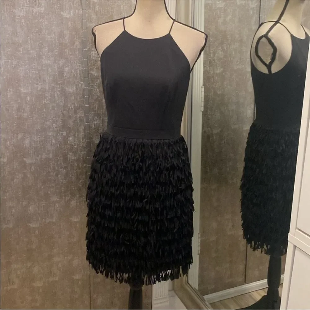 Aidan Mattox Elegant Black Fringe Dress, US6 - Picture 3 of 11